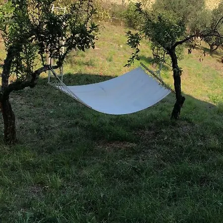 Contrada Barco דירה *